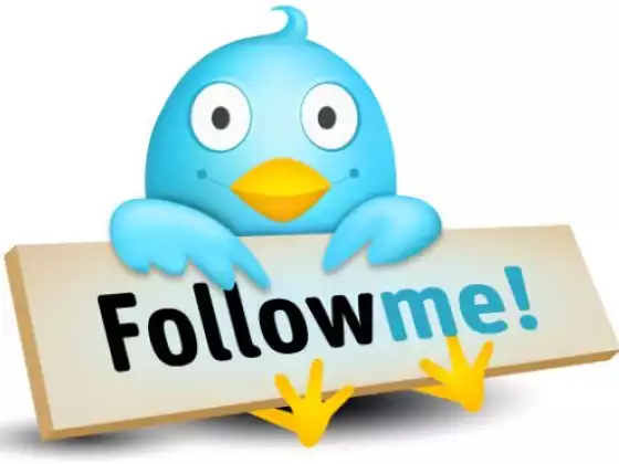 I Don't Give a Tweet! Twitter 101 the Basics 