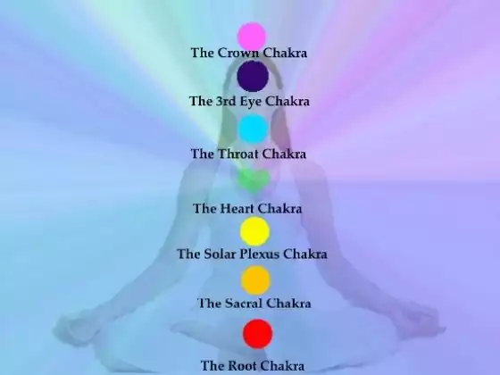 Chakra Series - Releasing With Your Root Chakra