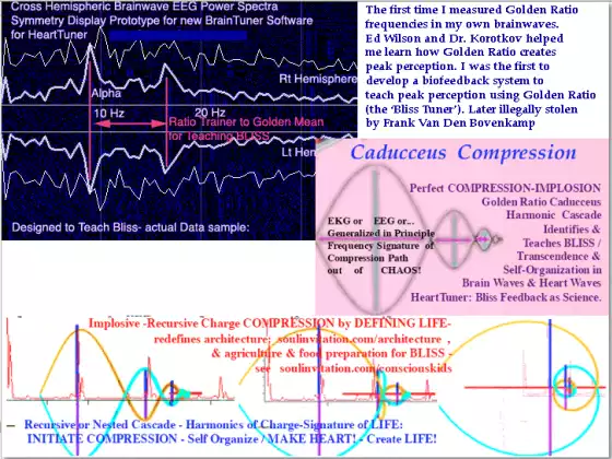 The SCIENCE of Bliss / Ecstacy and Peak Experience / Peak Perception.