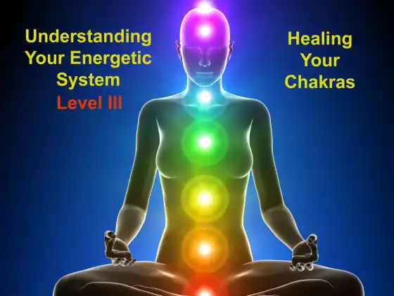 Understanding Your Energetic System - Healing the Chakras & Outer Bodies