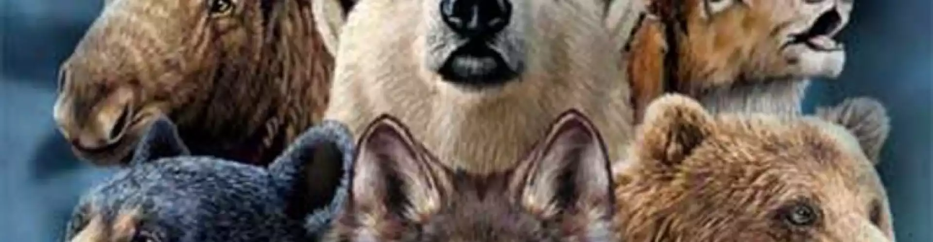 Spirit Animal Guides - Online Class by Tim (Soaring Wolf) McGovern