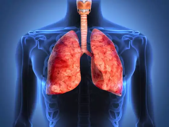 Salud Pulmonar