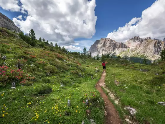 Basic Backpacking Skills