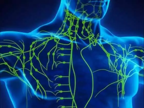 Das Lymphsystem ist für Ihre Gesundheit von entscheidender Bedeutung. Wie können Sie ihm helfen?