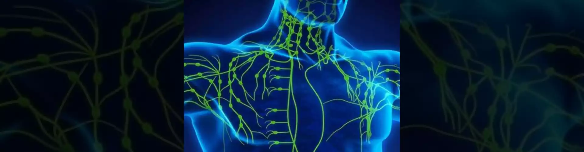 Das Lymphsystem ist für Ihre Gesundheit von entscheidender Bedeutung. Wie können Sie ihm helfen? - Online Class by Cassaundra Paolini