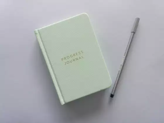 Progress vs Perfection