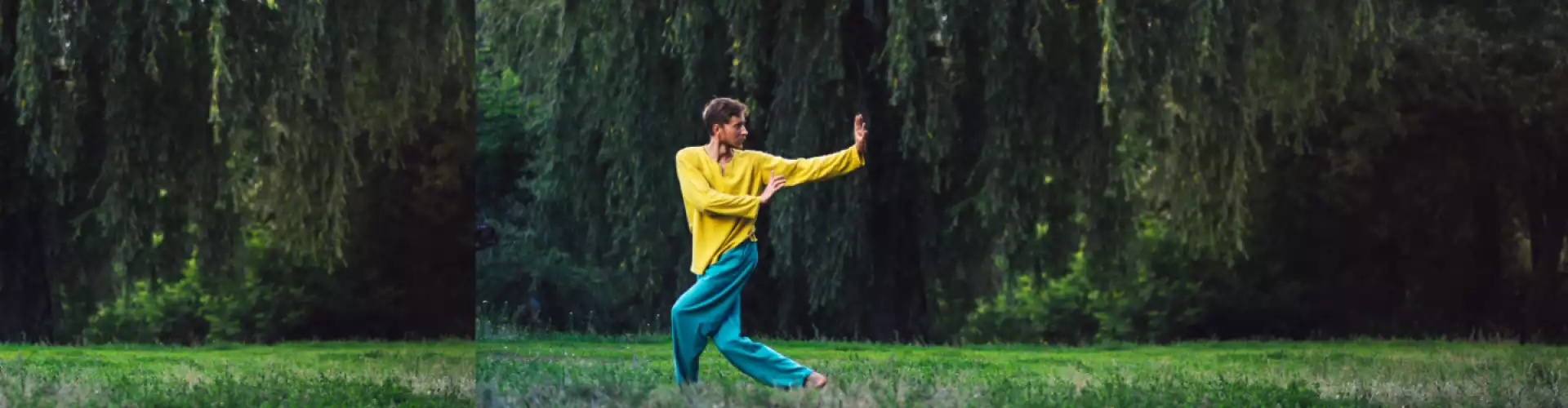 Qigong yang lembut - Online Class by Cassaundra Paolini