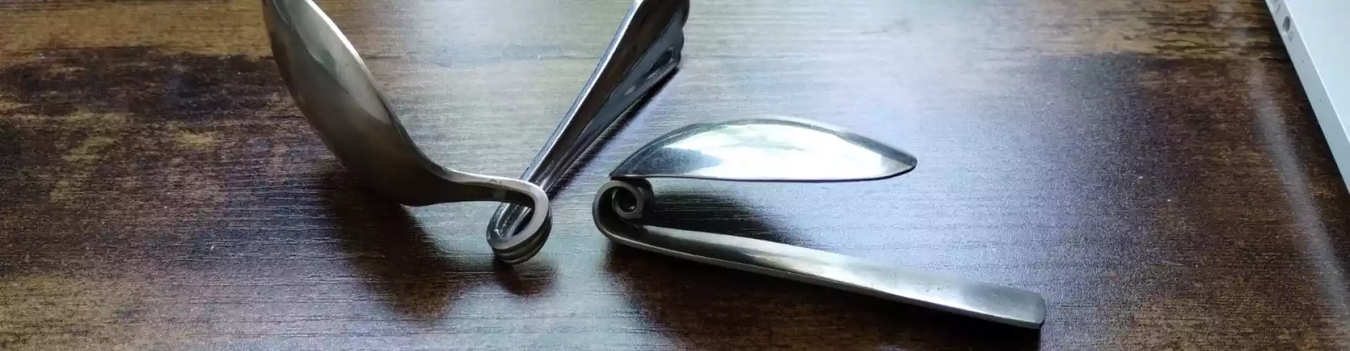 Spoonbending - Мастер-класс по искривлению реальности - Online Class by Miche Meizner