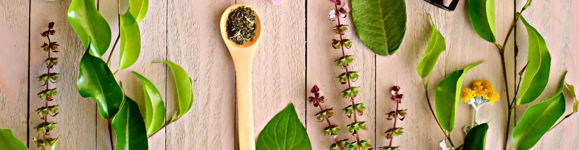 Asas Herbalisme Ayurveda - Online Class by Stephanie Brail