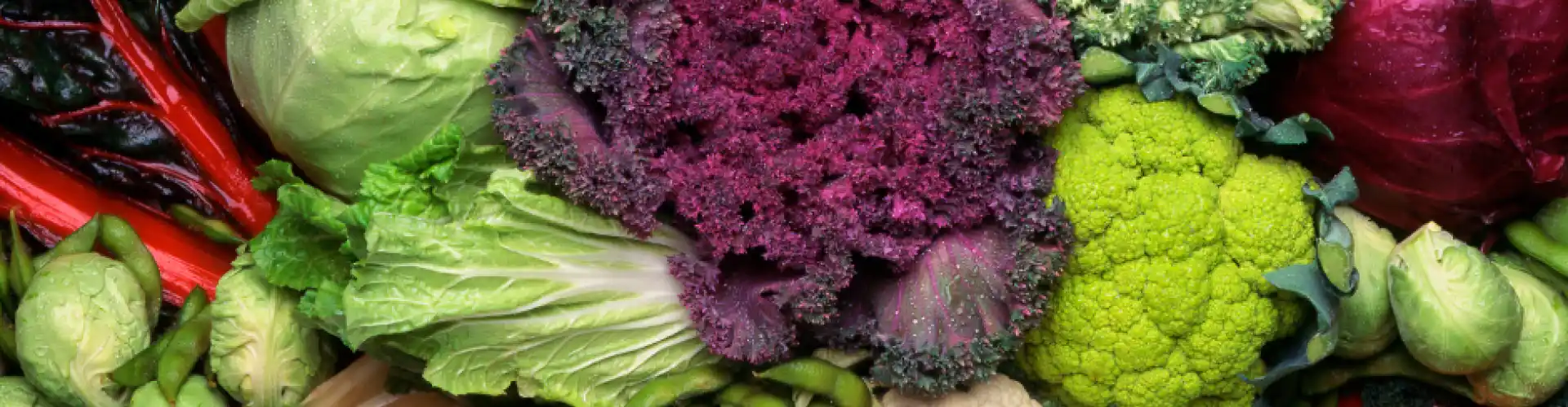 Four Things to Do with Cruciferous Vegetables - New material! Update for 2025!