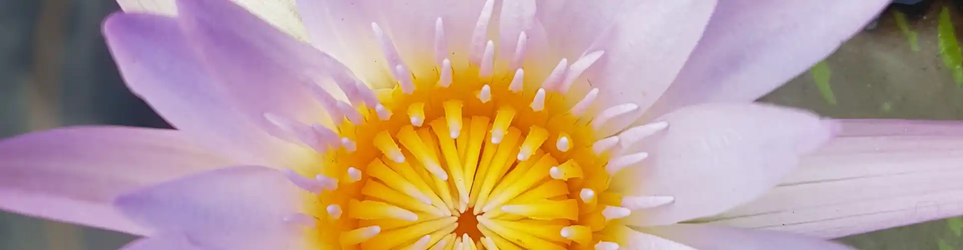 The Chakra Journey Class Seven ~ Your Hand Chakras - Online Class by Megan Edge