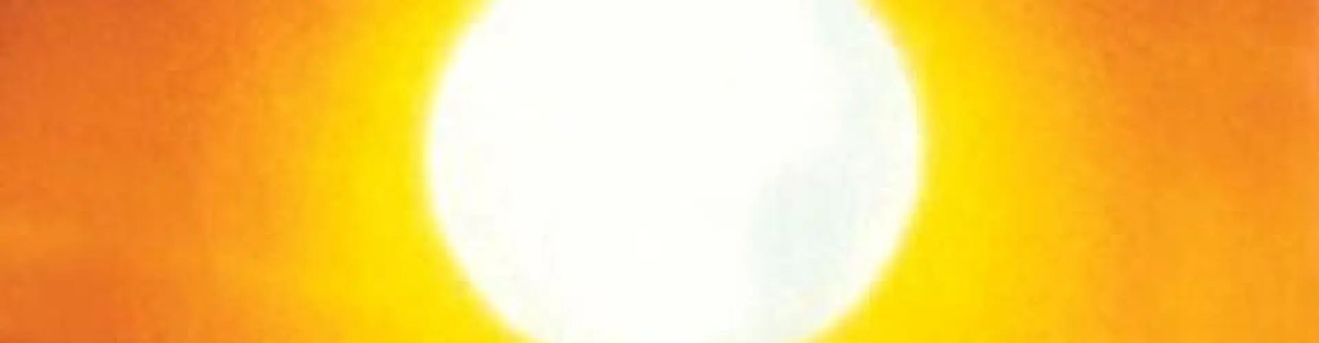 Cerimonia della Ruota di Medicina del Solstizio d'Estate 2025 - Invoca la tua Luce - Online Class by Raven  Many Voices