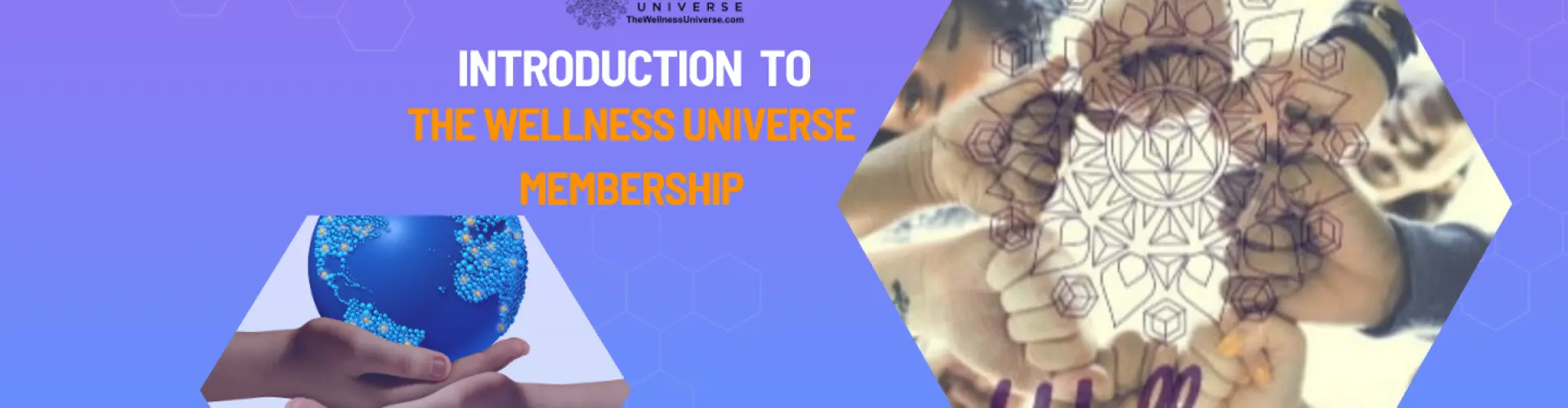 Wellness Universe Üyeliğine Giriş - VIP Davetiyesiyle - Online Class by The Wellness Universe