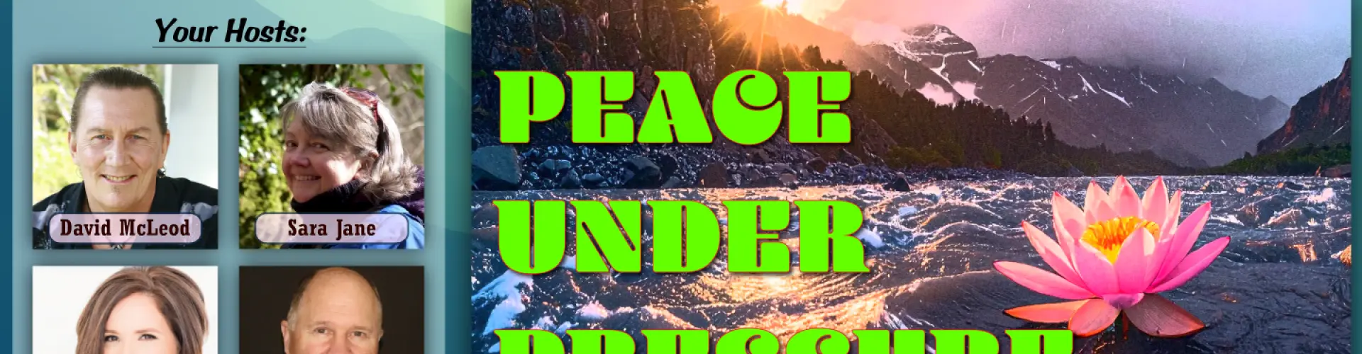 SE Nr. 66: Frieden unter Druck - Online Class by David McLeod