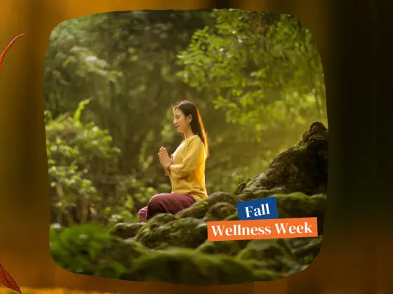 Umarmung des Herbstes: Eine Reiki-Meditation zur Herbst-Tagundnachtgleiche